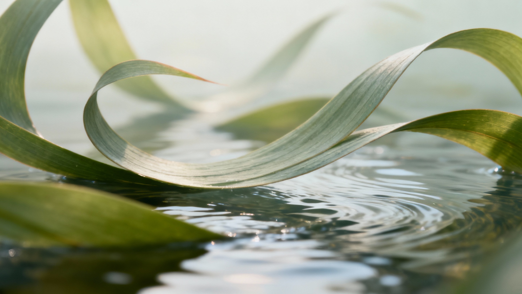 Tout savoir sur le bilan sanguin complet : liste et explications